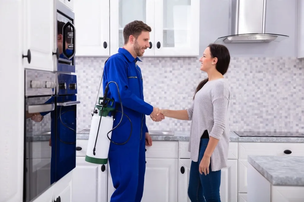 Pest Control Experts - Lincoln Best Pest Pros | Lincoln, CA | 916-713-5116